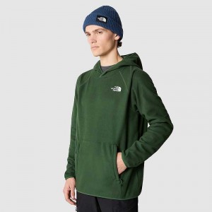 Bluza z Kapturem The North Face 100 Glacier Męskie Jasny Zielone | Polska-3897214