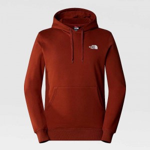 Bluza z Kapturem The North Face Seasonal Grafiką Męskie Brązowe | Polska-6789105