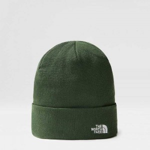 Czapka The North Face Norm Damskie Jasny Zielone | Polska-8179643