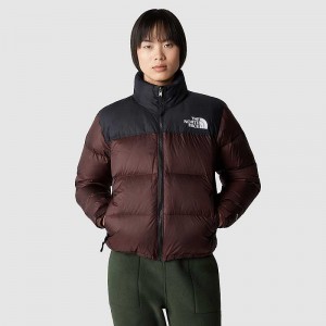 Kurtki Puchowe The North Face 1996 Retro Nuptse Damskie Czarne Brązowe Czarne | Polska-3760891