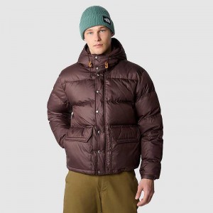 Kurtki Puchowe The North Face Sierra Męskie Czarne Brązowe | Polska-6740281