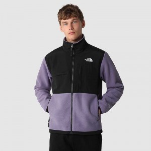 Kurtki The North Face Denali Męskie Głęboka Fioletowe Czarne | Polska-1329547