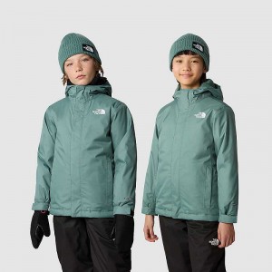 Kurtki The North Face Snowquest Chłopięce Ciemny Oliwkowe | Polska-5760841