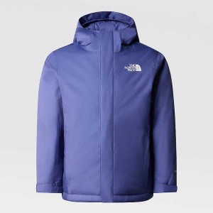 Kurtki The North Face Snowquest Dziewczynka Niebieskie | Polska-3975602