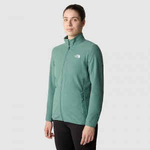 Swetry Z Polaru The North Face 100 Glacier Full-Zip Damskie Ciemny Oliwkowe | Polska-5082146