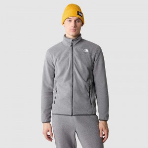 Swetry Z Polaru The North Face 100 Glacier Full-Zip Męskie Szare | Polska-7069421