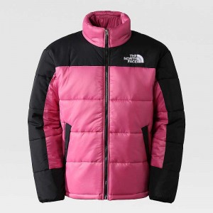 Wiatrówka The North Face Himalayan Męskie Czerwone Fioletowe | Polska-5913680