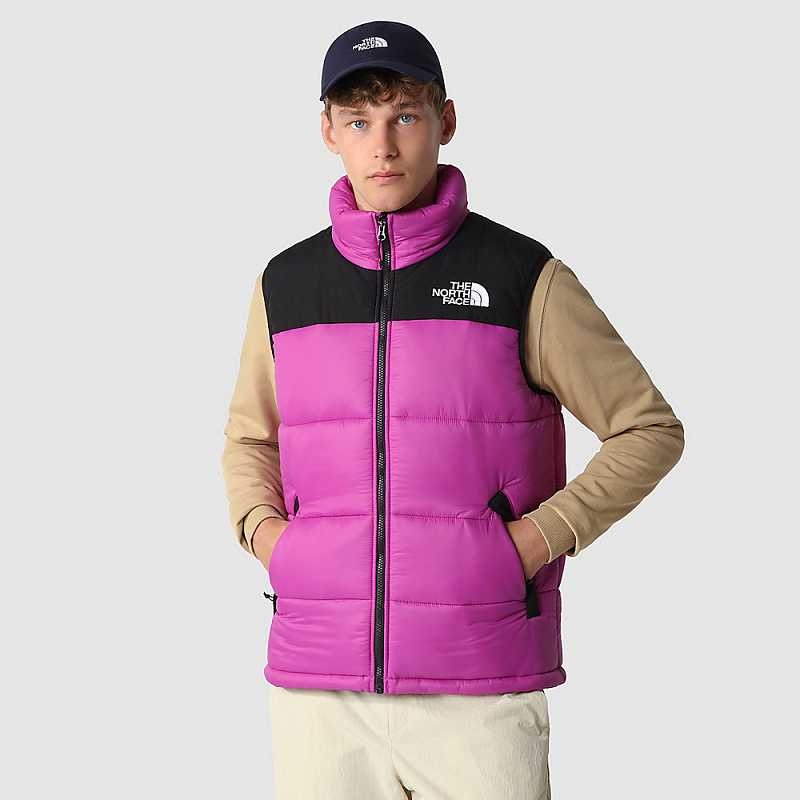 Kamizelka The North Face Himalayan Męskie Fioletowe Zielone Kwiaty | Polska-4137586