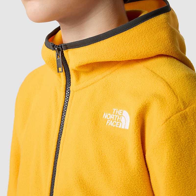 Kurtka Z Kapturem The North Face Glacier Full-Zip Chłopięce Złote | Polska-6480375