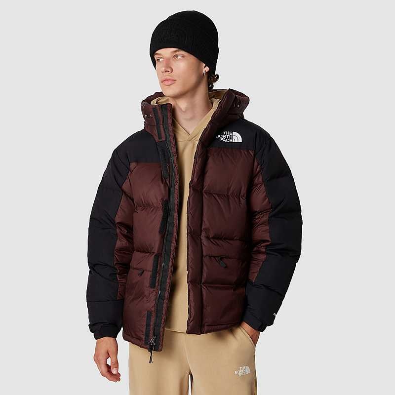 Kurtki Puchowe The North Face Himalayan Męskie Czarne Brązowe Czarne | Polska-8214709