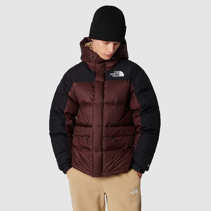 Kurtki Puchowe The North Face Himalayan Męskie Czarne Brązowe Czarne | Polska-8214709