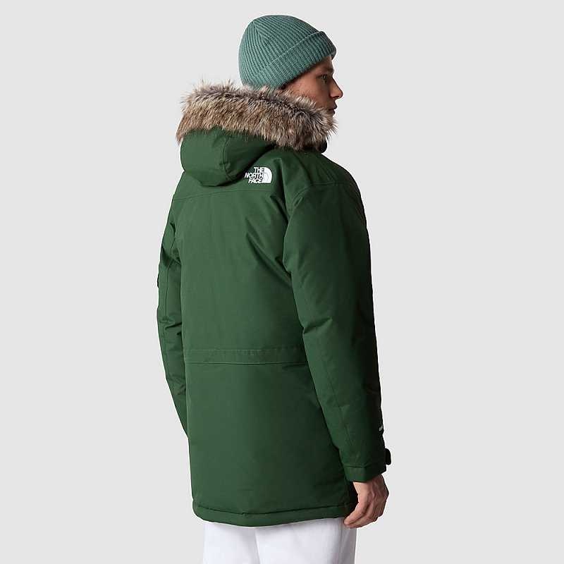 Kurtki Puchowe The North Face Recycled Męskie Jasny Zielone | Polska-2387509