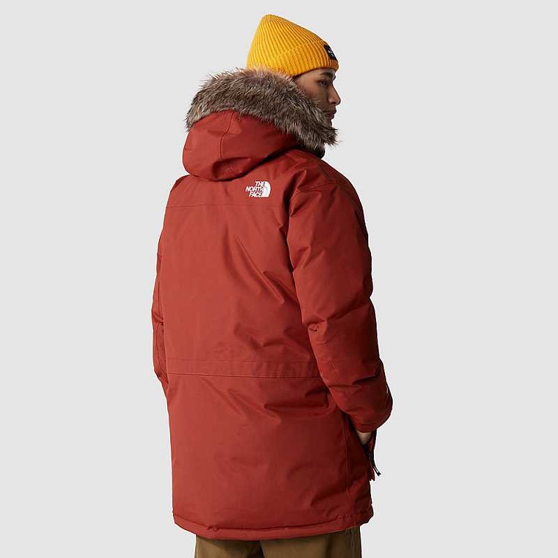 Kurtki Puchowe The North Face Recycled Męskie Brązowe | Polska-6839410