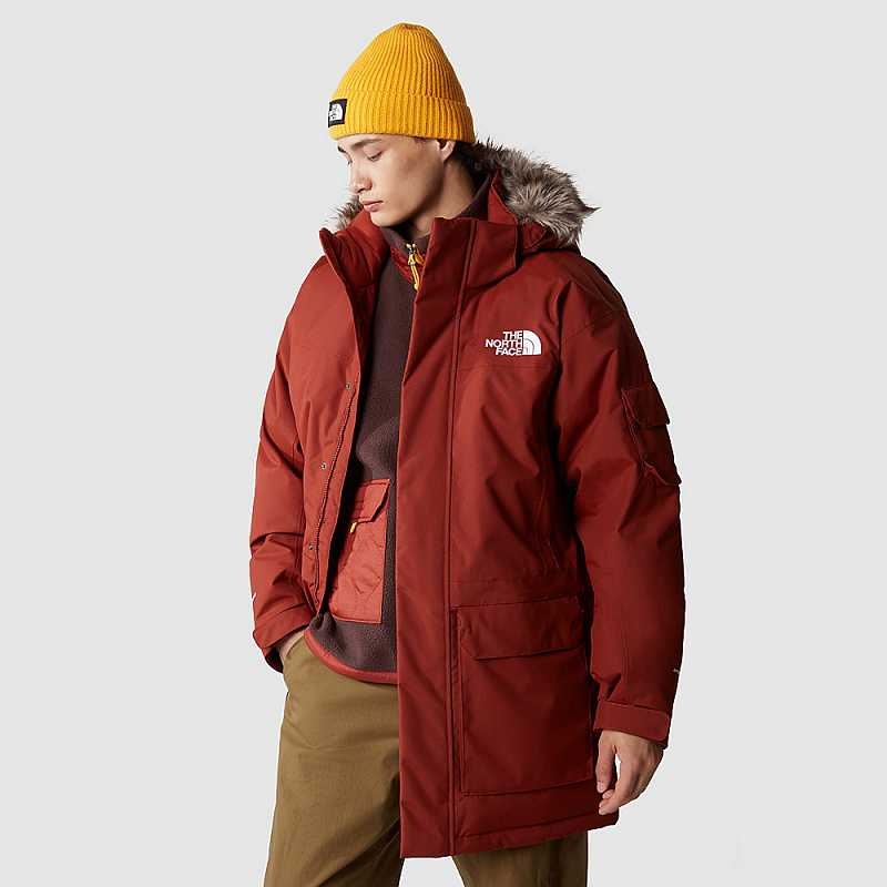 Kurtki Puchowe The North Face Recycled Męskie Brązowe | Polska-6839410