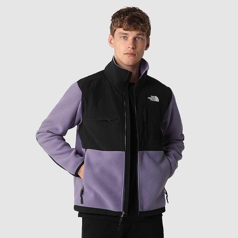 Kurtki The North Face Denali Męskie Głęboka Fioletowe Czarne | Polska-1329547