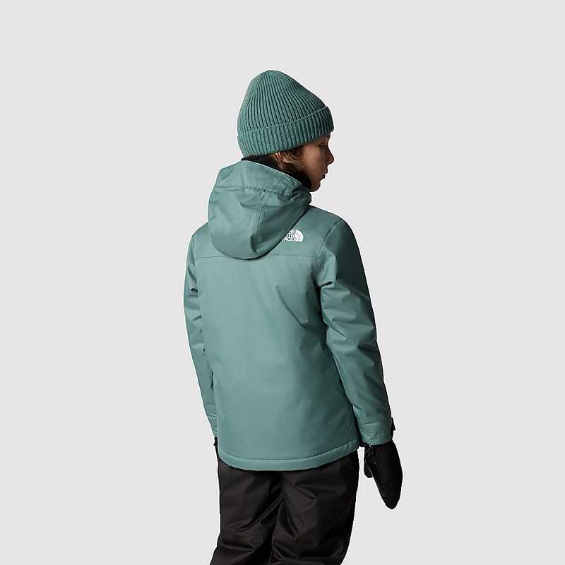 Kurtki The North Face Snowquest Chłopięce Ciemny Oliwkowe | Polska-5760841