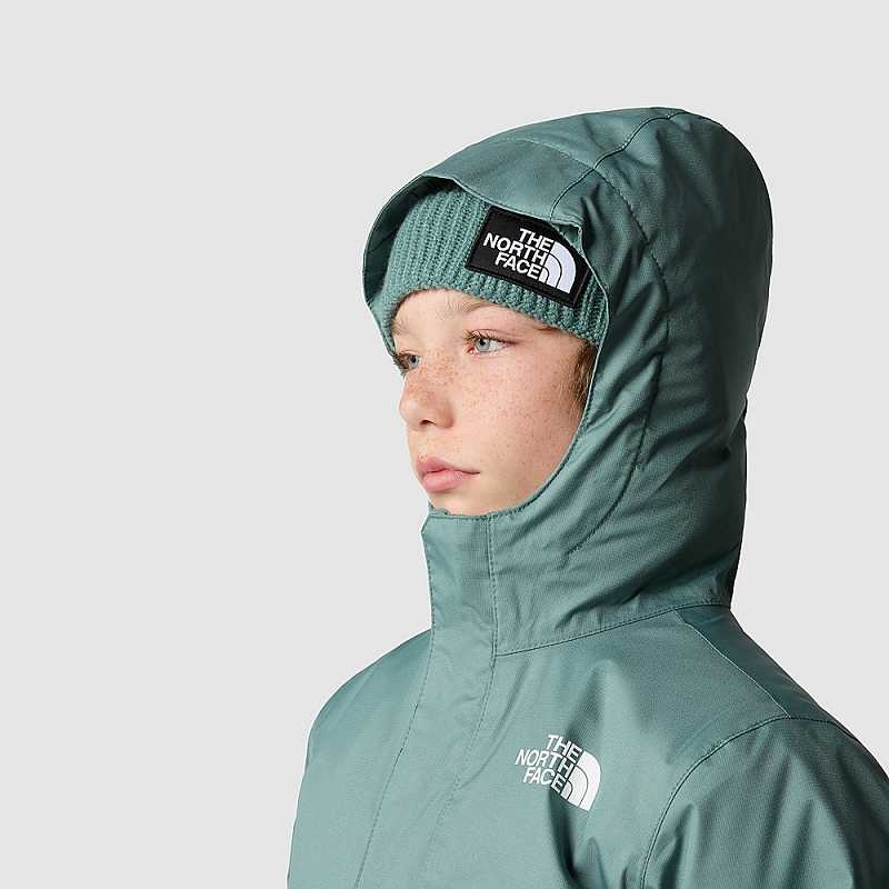 Kurtki The North Face Snowquest Chłopięce Ciemny Oliwkowe | Polska-5760841