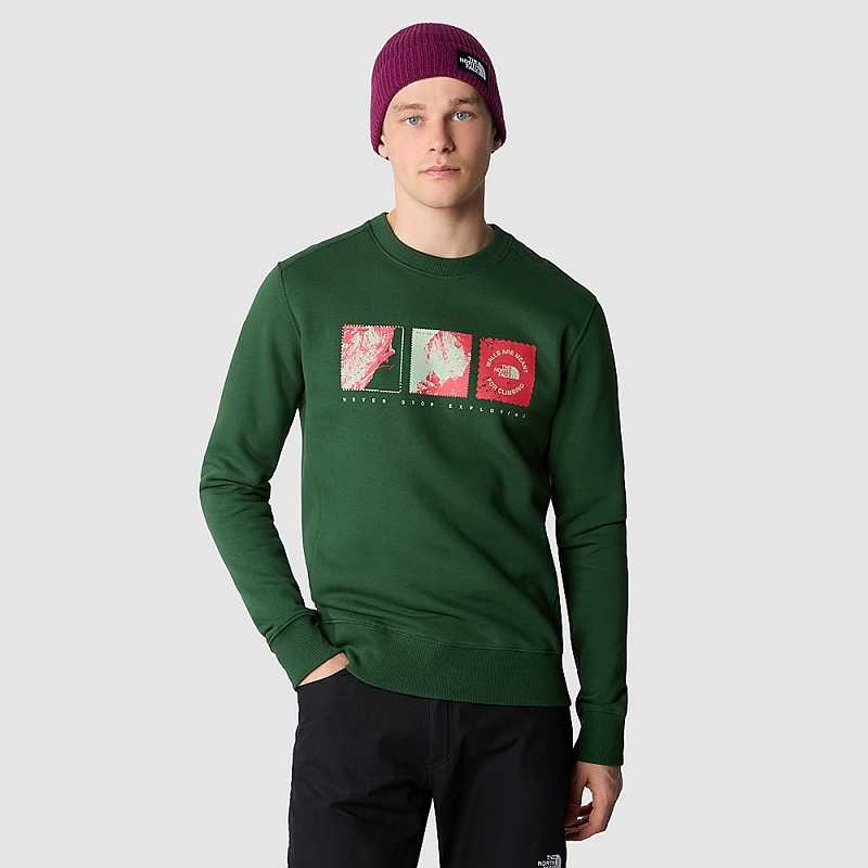 Sweter The North Face Outdoor Grafiką Męskie Jasny Zielone | Polska-4503768