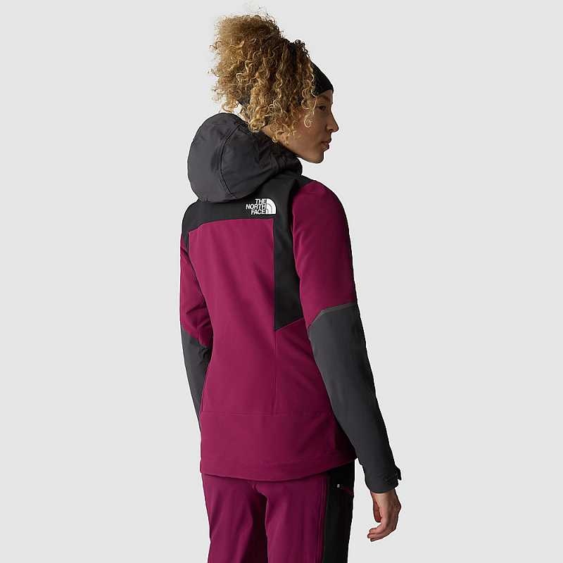 Wiatrówka The North Face Dawn Turn Hybryd Softshell Damskie Fuksja Czarne Szare | Polska-9861450